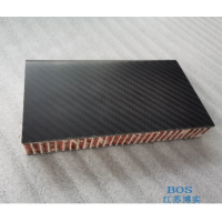 碳纤维泡沫夹芯板加工 博实碳纤维夹芯板规格齐全-