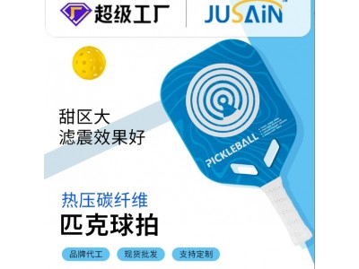 匹克拍厂家定制多款式皮克球拍跨境批发高端比赛级碳纤维匹克球拍图2