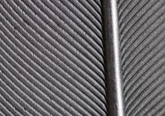 微信截图_20251224170658