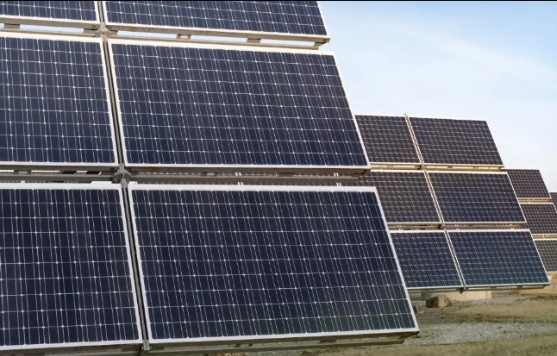 微信截图_20251224171328