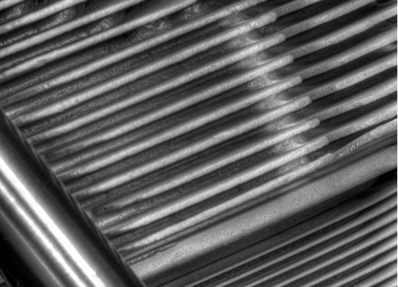 微信截图_20251226102025